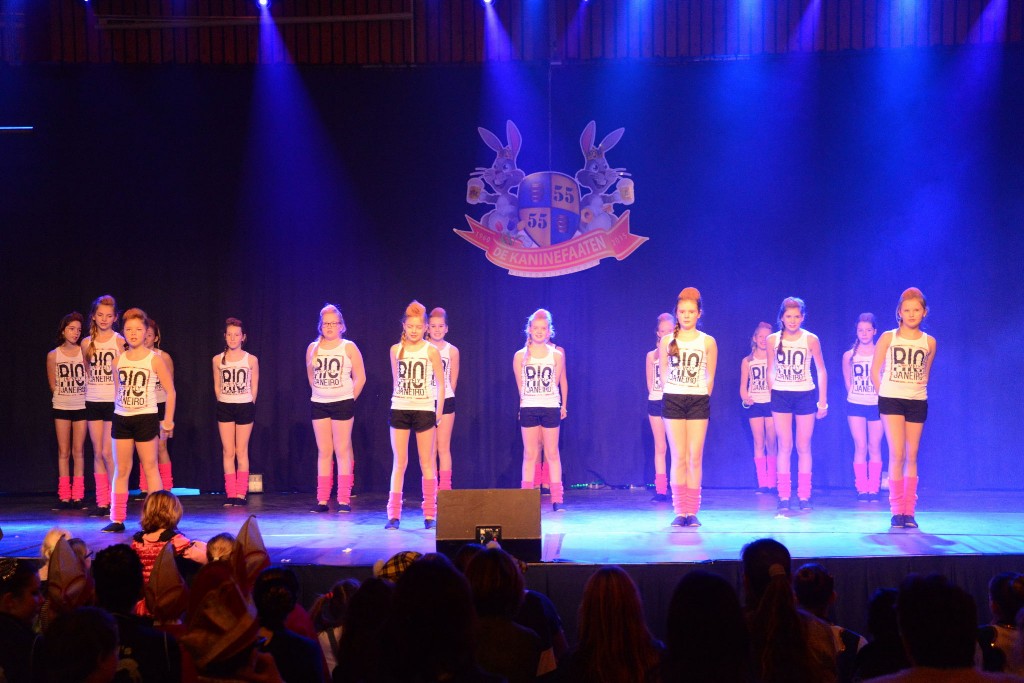 ../Images/Dansmarieke festival 2015 339.jpg